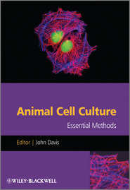 бесплатно читать книгу Animal Cell Culture. Essential Methods автора John Davis