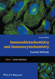 бесплатно читать книгу Immunohistochemistry and Immunocytochemistry. Essential Methods автора Simon Renshaw