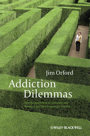 бесплатно читать книгу Addiction Dilemmas. Family Experiences from Literature and Research and their Lessons for Practice автора Jim Orford