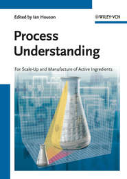 бесплатно читать книгу Process Understanding. For Scale-Up and Manufacture of Active Ingredients автора Ian Houson
