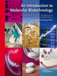 бесплатно читать книгу An Introduction to Molecular Biotechnology. Fundamentals, Methods and Applications автора Michael Wink