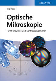 бесплатно читать книгу Optische Mikroskopie. Funktionsweise und Kontrastierverfahren автора Jörg Haus