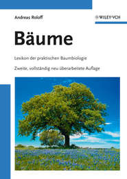 бесплатно читать книгу Bäume. Lexikon der praktischen Baumbiologie автора Andreas Roloff