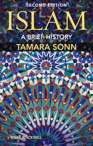 бесплатно читать книгу Islam. A Brief History автора Tamara Sonn