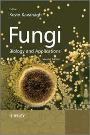 бесплатно читать книгу Fungi. Biology and Applications автора Kevin Kavanagh