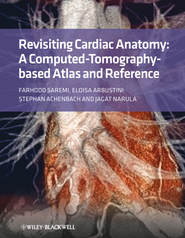 бесплатно читать книгу Revisiting Cardiac Anatomy. A Computed-Tomography-Based Atlas and Reference автора Farhood Saremi