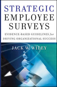 бесплатно читать книгу Strategic Employee Surveys. Evidence-based Guidelines for Driving Organizational Success автора Jack Wiley