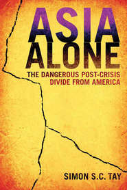 бесплатно читать книгу Asia Alone. The Dangerous Post-Crisis Divide from America автора Simon S. C. Tay