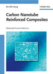 бесплатно читать книгу Carbon Nanotube Reinforced Composites. Metal and Ceramic Matrices автора Sie Tjong