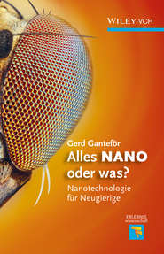 бесплатно читать книгу Alles NANO - oder was? Nanotechnologie für Neugierige автора Gerd Ganteför