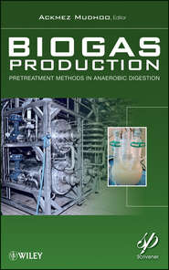 бесплатно читать книгу Biogas Production. Pretreatment Methods in Anaerobic Digestion автора Ackmez Mudhoo