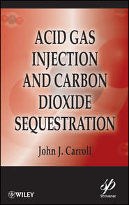 бесплатно читать книгу Acid Gas Injection and Carbon Dioxide Sequestration автора John Carroll