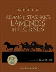 бесплатно читать книгу Adams and Stashak's Lameness in Horses автора Gary Baxter