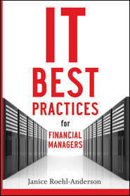 бесплатно читать книгу IT Best Practices for Financial Managers автора Janice Roehl-Anderson