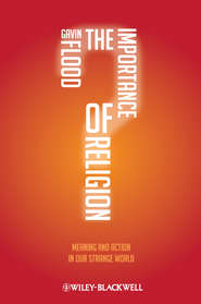 бесплатно читать книгу The Importance of Religion. Meaning and Action in our Strange World автора Gavin Flood