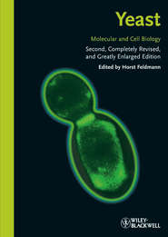бесплатно читать книгу Yeast. Molecular and Cell Biology автора Horst Feldmann