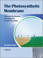 бесплатно читать книгу The Photosynthetic Membrane. Molecular Mechanisms and Biophysics of Light Harvesting автора Alexander Ruban
