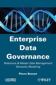 бесплатно читать книгу Enterprise Data Governance. Reference and Master Data Management Semantic Modeling автора Pierre Bonnet