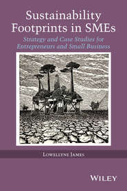 бесплатно читать книгу Sustainability Footprints in SMEs. Strategy and Case Studies for Entrepreneurs and Small Business автора Lowellyne James