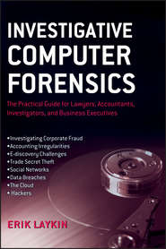 бесплатно читать книгу Investigative Computer Forensics. The Practical Guide for Lawyers, Accountants, Investigators, and Business Executives автора Erik Laykin