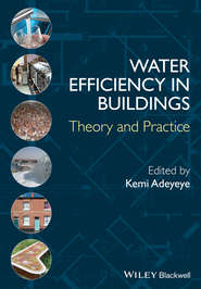 бесплатно читать книгу Water Efficiency in Buildings. Theory and Practice автора Kemi Adeyeye