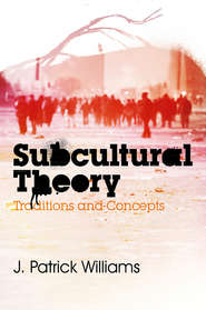 бесплатно читать книгу Subcultural Theory. Traditions and Concepts автора J. Williams