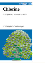 бесплатно читать книгу Chlorine. Principles & Industrial Practice автора Peter Schmittinger