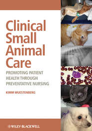 бесплатно читать книгу Clinical Small Animal Care. Promoting Patient Health through Preventative Nursing автора Kimm Wuestenberg