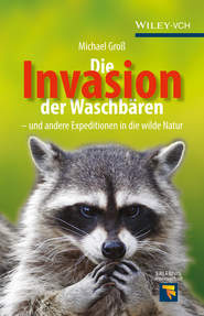 бесплатно читать книгу Die Invasion der Waschbären. und andere Expeditionen in die wilde Natur автора Michael Groß