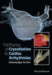 бесплатно читать книгу The Practice of Catheter Cryoablation for Cardiac Arrhythmias автора Ngai-Yin Chan