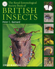 бесплатно читать книгу The Royal Entomological Society Book of British Insects автора Peter Barnard