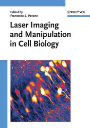 бесплатно читать книгу Laser Imaging and Manipulation in Cell Biology автора Francesco Pavone