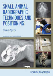 бесплатно читать книгу Small Animal Radiographic Techniques and Positioning автора Susie Ayers