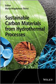 бесплатно читать книгу Sustainable Carbon Materials from Hydrothermal Processes автора Maria-Magdalena Titirici