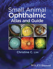 бесплатно читать книгу Small Animal Ophthalmic Atlas and Guide автора Christine Lim