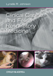 бесплатно читать книгу Clinical Canine and Feline Respiratory Medicine автора Lynelle R. Johnson