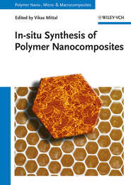 бесплатно читать книгу In-situ Synthesis of Polymer Nanocomposites автора Vikas Mittal