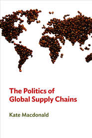 бесплатно читать книгу The Politics of Global Supply Chains автора Kate Macdonald