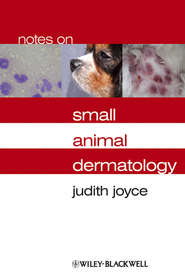 бесплатно читать книгу Notes on Small Animal Dermatology автора Judith Joyce