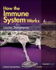 бесплатно читать книгу How the Immune System Works автора Lauren Sompayrac