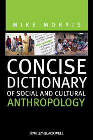 бесплатно читать книгу Concise Dictionary of Social and Cultural Anthropology автора Mike Morris