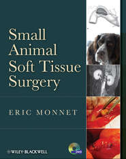 бесплатно читать книгу Small Animal Soft Tissue Surgery автора Eric Monnet
