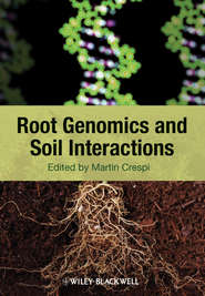 бесплатно читать книгу Root Genomics and Soil Interactions автора Martin Crespi