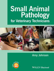 бесплатно читать книгу Small Animal Pathology for Veterinary Technicians автора Amy Johnson
