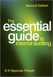 бесплатно читать книгу The Essential Guide to Internal Auditing автора K. H. Spencer Pickett