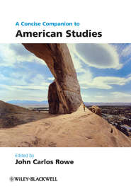 бесплатно читать книгу A Concise Companion to American Studies автора John Rowe