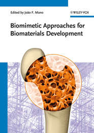 бесплатно читать книгу Biomimetic Approaches for Biomaterials Development автора Joao Mano