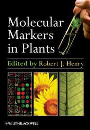 бесплатно читать книгу Molecular Markers in Plants автора Robert Henry