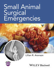 бесплатно читать книгу Small Animal Surgical Emergencies автора Lillian Aronson