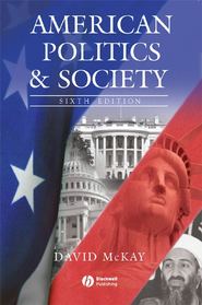 бесплатно читать книгу American Politics and Society автора David McKay